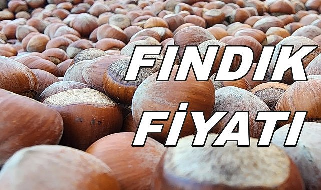 Ordu&#039;da Fındık Fiyatı: 9 Ocak 2025