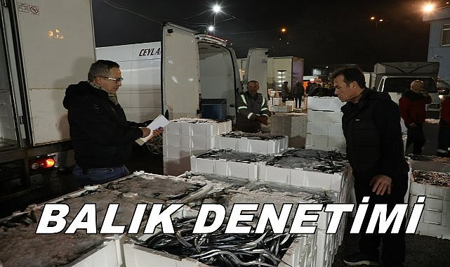 Ordu'da Günde 3 Bin Kasa Balık Denetleniyor!