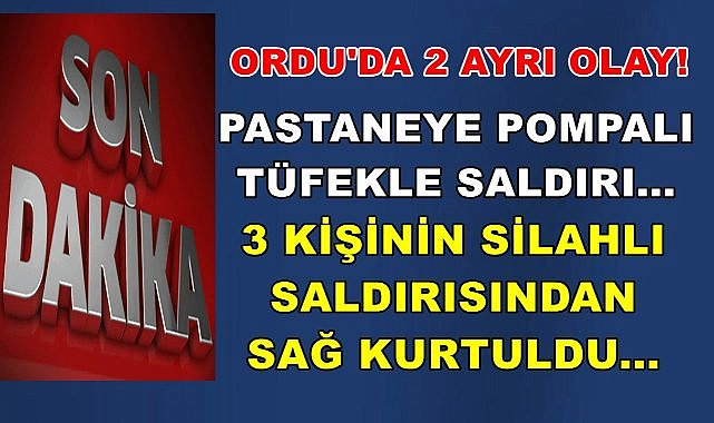 Ordu&#039;da İki Ayrı Olay; 4 Kişi Tutuklandı Valilik Açıklama Yaptı