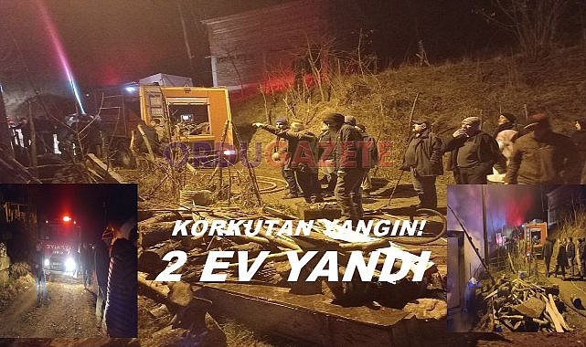 Ordu&#039;da Korkutan Yangın; İki Ev Alevlere Teslim Oldu