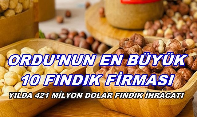 Ordu&#039;nun En Büyük 10 Fındık Firması; Yıllık Gelirleri 421 Milyon Doları Aştı