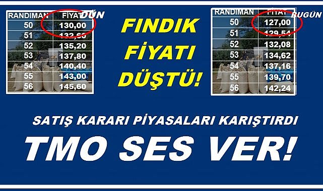 TMO&#039;nun Fındık Satış Kararı Fındık Fiyatlarını Düşürdü; Fındık Fiyatı 3 TL Birden Düştü!