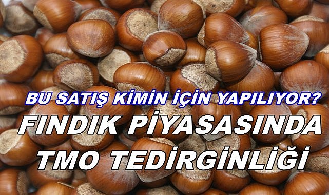 TMO&#039;nun Fındık Satış Kararı Piyasalarda Tedirginlik Yarattı!