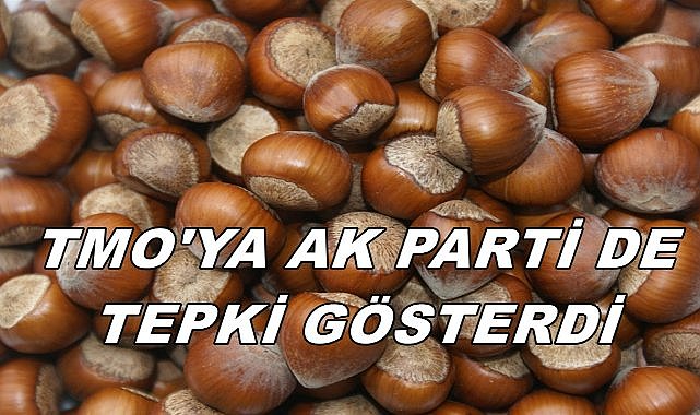 TMO&#039;nun Fındık Satış Kararına Tepkiler Çığ Gibi Büyüyor; Ak Parti Bile Tepki Gösterdi