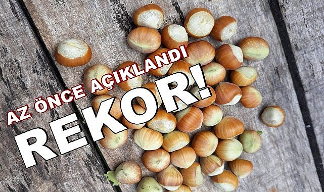 Türkiye Fındık İhracatında Rekor Yıl: 2024&#039;te 2.6 Milyar Dolar Gelir Elde Edildi