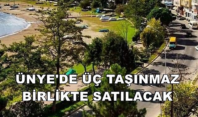 Ünye&#039;de Üç Taşınmaz Satışa Çıktı; Mahkeme Bedelini Belirledi