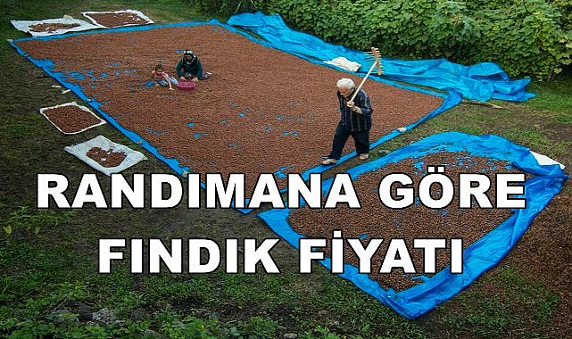 Yeni Yılda Randımana Göre Fındık Fiyatı