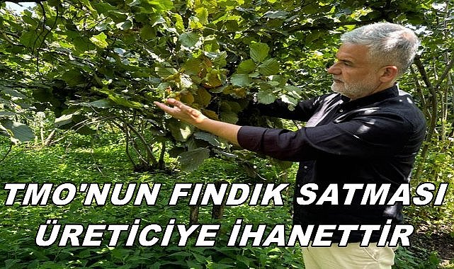 Ziraat Odalarından TMO&#039;ya Fındık Tepkisi; Fındık Üreticisine İhanet!