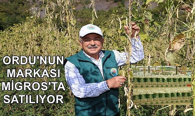 Akkuş Fasulyesi Artık Migros&#039;ta; Üreticilerin Yüzü Gülüyor