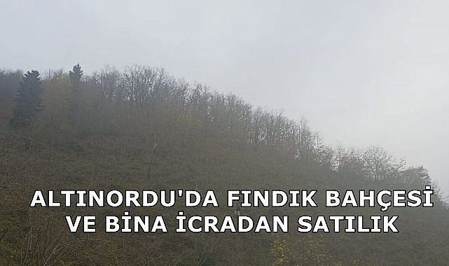 Altınordu&#039;da Fındık Bahçesi ve Bina İcradan Satışa Çıkartıldı