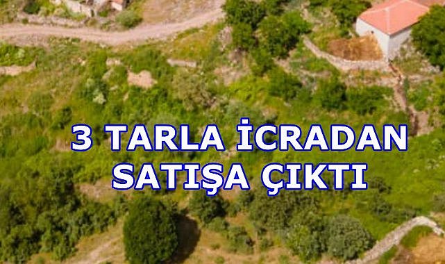 Artvin Şavşat&#039;ta 3 Taşınmaz İcra Yolu İle Satılacak