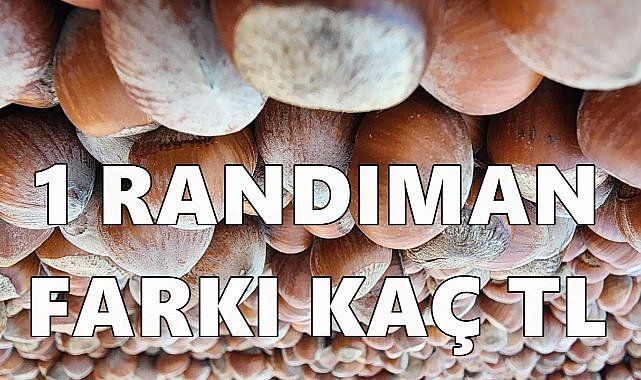 Bir Kilo Fındık 127 TL, 1 Randıman Kaç TL?