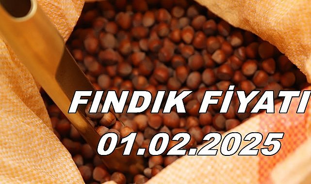 Fındık Fiyatı 01.02.2025 Cumartesi