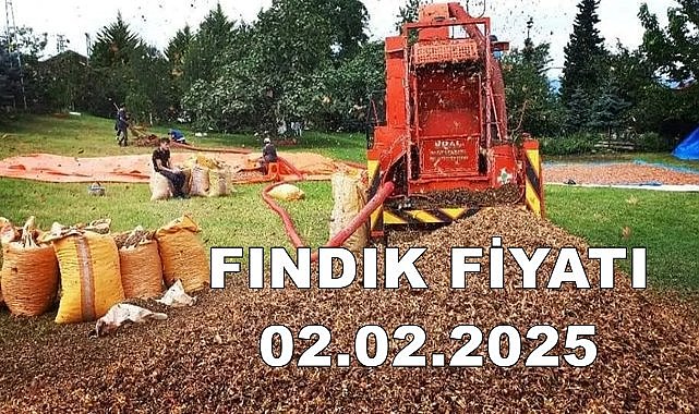 Fındık Fiyatı 02.02.2025 Pazar