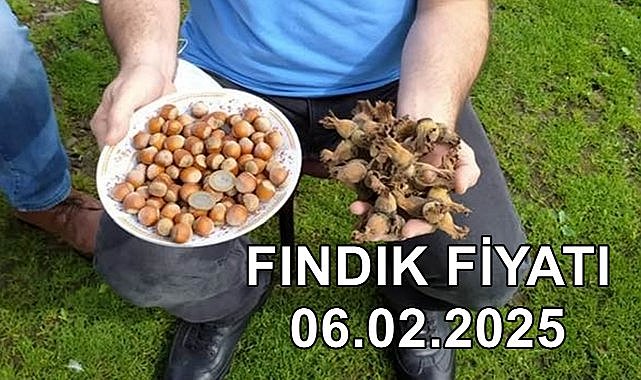Fındık Fiyatı 06 Şubat 2025 Perşembe