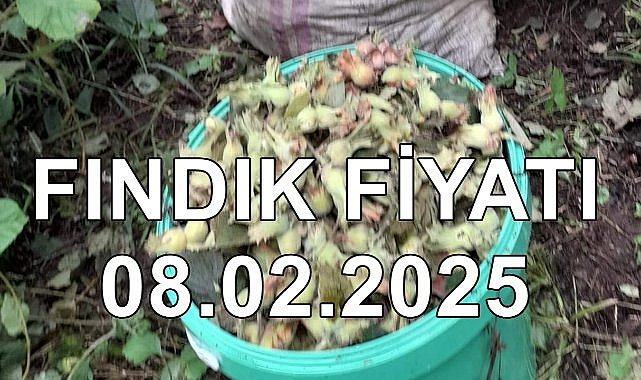 Fındık Fiyatı 08 Şubat 2025 Cumartesi