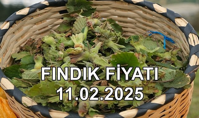 Fındık Fiyatı 11 Şubat Salı