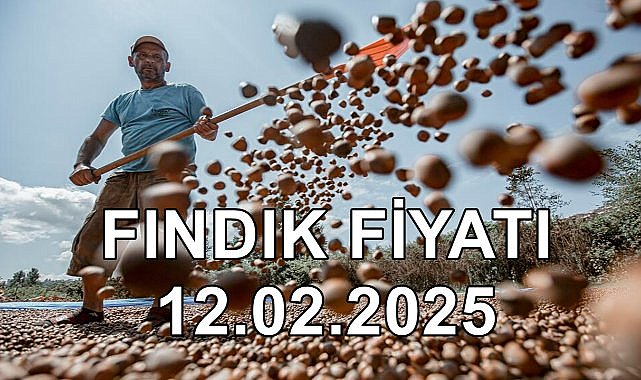 Fındık Fiyatı 12 Şubat 2025 Çarşamba