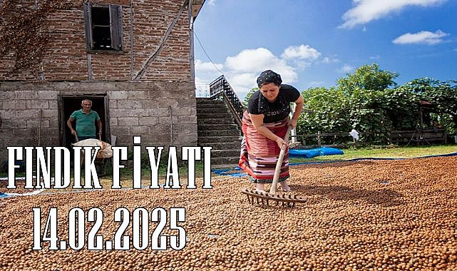 Fındık Fiyatı 14.02.2025