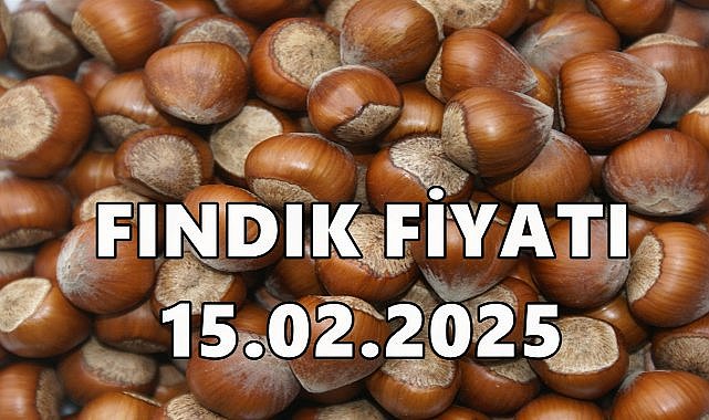 Fındık Fiyatı 15 Şubat 2025 Cumartesi