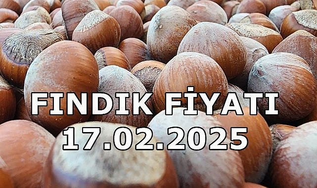 Fındık Fiyatı 17 Şubat 2025 Pazartesi