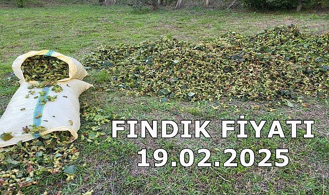 Fındık Fiyatı 19 Şubat 2025 Çarşamba