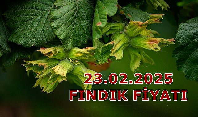 Fındık Fiyatı 23 Şubat Pazar 2025