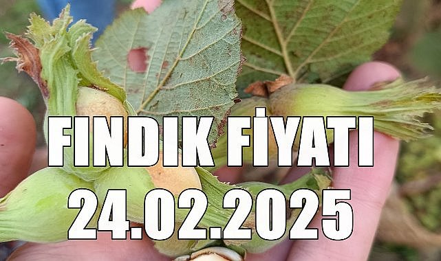 Fındık Fiyatı 24 Şubat Pazartesi 2025