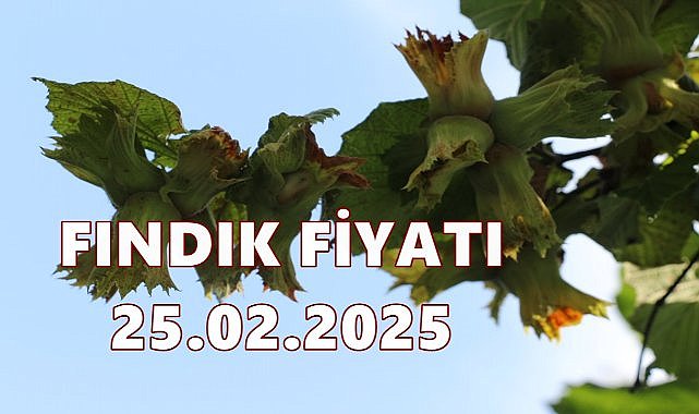 Fındık Fiyatı 25 Şubat Salı 2025