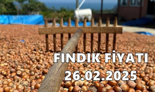 Fındık Fiyatı 26 Şubat Çarşamba 2025