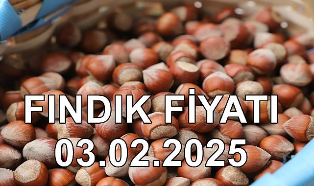 Fındık Fiyatı 3 Şubat 2025 Pazartesi