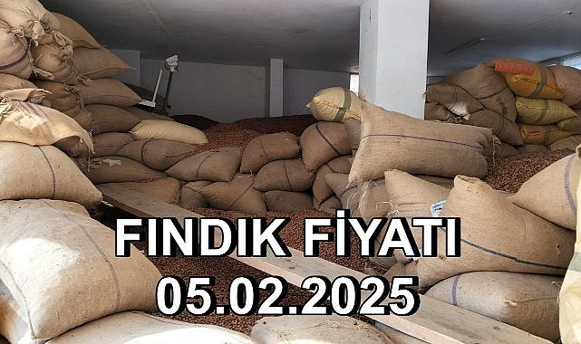 Fındık Fiyatı 5 Şubat 2025 Çarşamba
