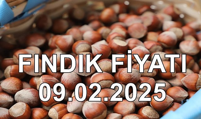 Fındık Fiyatı 9 Şubat 2025 Pazar