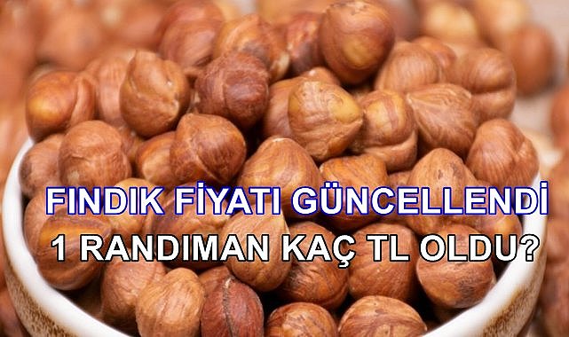 Fındık Fiyatı Güncellendi; 1 Randıman 2.54 TL Oldu