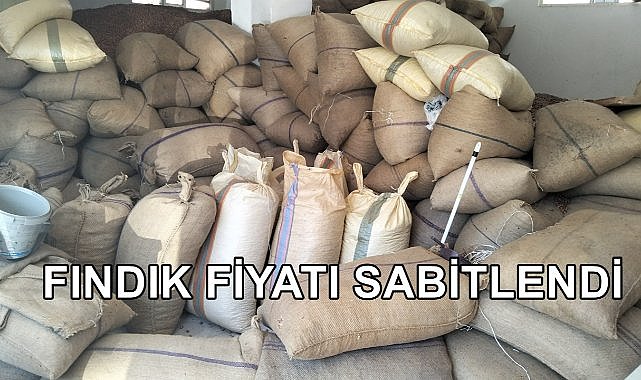 Fındık Fiyatı Sabitlendi; Ordu&#039;da 127 TL