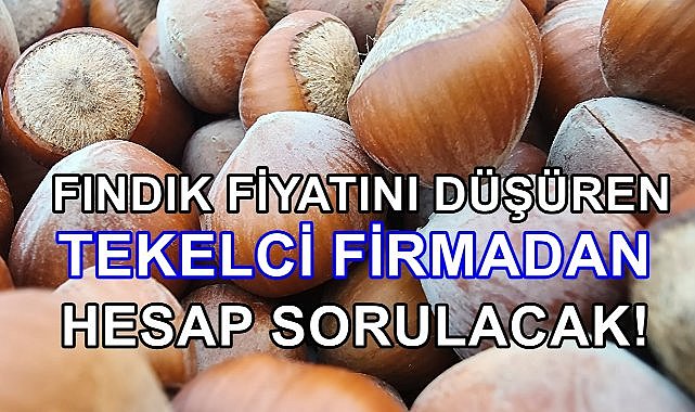 Fındık Fiyatını Düşüren Tekelci Firmadan Hesap Sorulacak