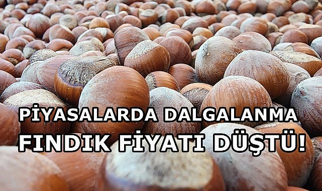 Fındık Fiyatlarında Dalgalanma; Fındık Fiyatı 3 TL Birden Düştü!