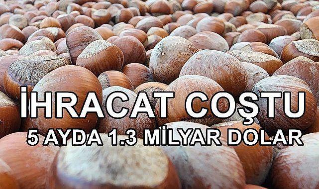 Fındık İhracatında Rekor Artış; 5 Ayda 1.3 Milyar Dolar Gelir !