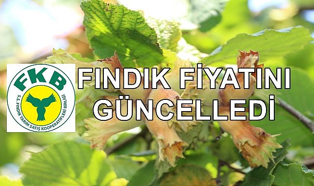 Fiskobirlik 4 Ayrı Fındık Fiyatı Açıkladı