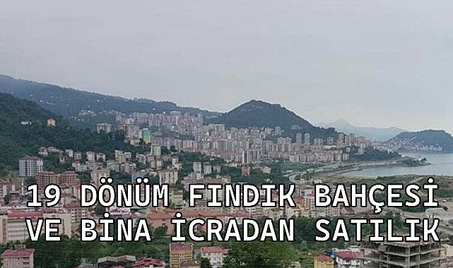 Giresun&#039;da Büyük Ölçekli Taşınmaz İcradan Satışa Çıkıyor