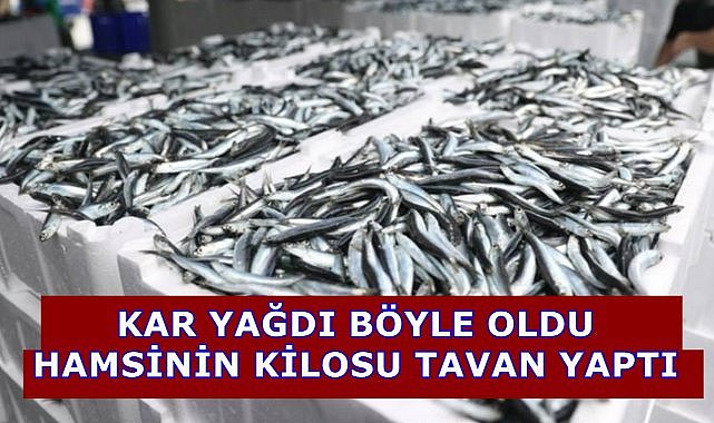 Kar Yağdı Böyle Oldu; Hamsinin Fiyatı Tavan Yaptı