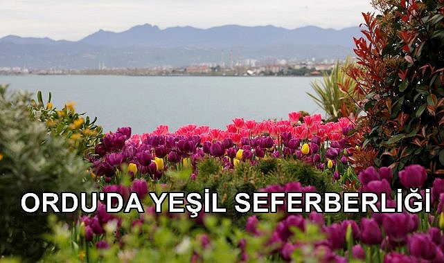 OBB Yeşil Seferberliği Başlattı; Milyonlarca Ağaç ve Çiçek Dikildi