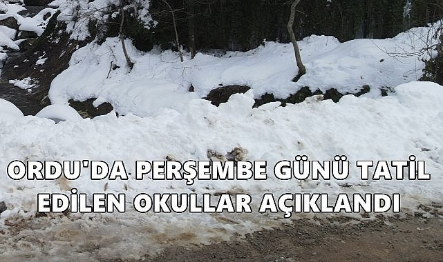 Ordu&#039;da 27 Şubat Perşembe Günü Tatil Olan Okullar Açıklandı; 4 İlçede Tamamen, 7 İlçede Kısmen Eğitime Ara Verildi