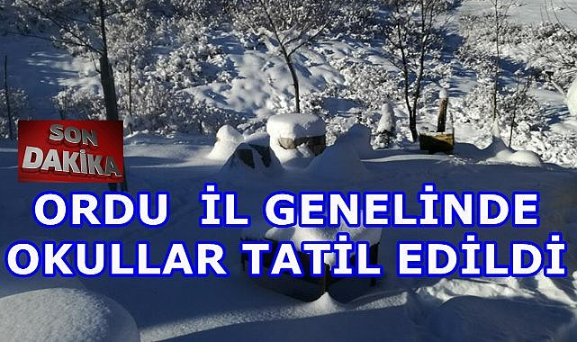 Ordu&#039;da Tüm Okullar Bugün Tatil Oldu...Son Dakika...