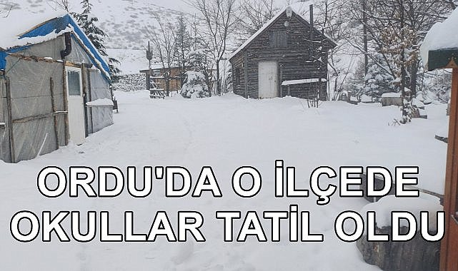 Ordu&#039;nun O İlçesinde Kar Yağışı Nedeniyle Okullar Tatil Edildi