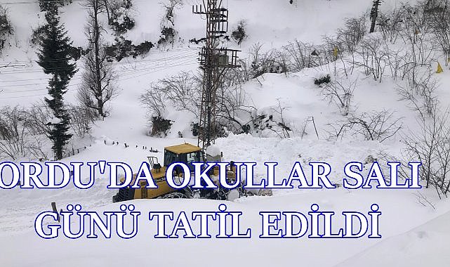 Ordu Valiliği Az Önce Açıkladı; Okullar 25 Şubat Salı Günü Tatil Edildi