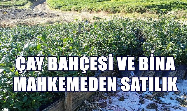 Rize Derepazarı&#039;nda Çay Bahçesi ve Binalar Mahkemeden Satılık