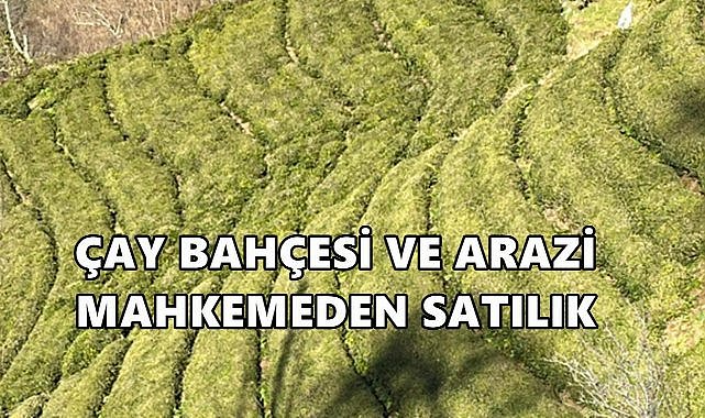 Rize Fındıklı&#039;da Çay Bahçesi ve Konut Arazisi İcradan  Satılık