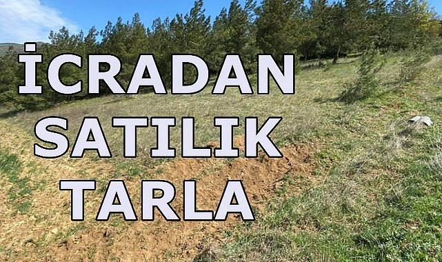 Samsun Atakum&#039;da Tarla İcradan 7.6 Milyon TL&#039;ye Satışa Çıkartıldı