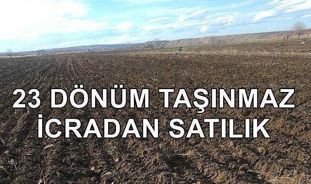 Trabzon Akçaabat&#039;ta 23 Dönüm Taşınmaz İcradan Satılacak